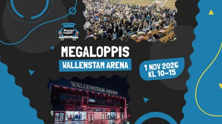 BESÖKARE Wallenstam Arena 1 NOV