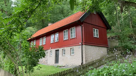 Luderkupor och styckmord