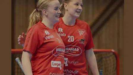 Div 1 Region Dam: FBC Lerum - Mölndals IBF