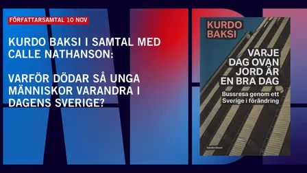Varför dödar så unga varandra i dagens Sverige?