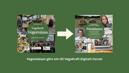 VegoKraft Vegomässa - för besökare