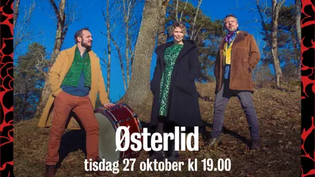 261027 Østerlide