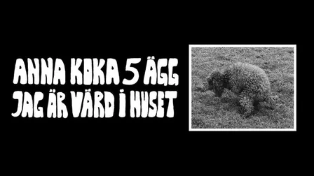 Anna Koka 5 Ägg Jag Är Värd i Huset