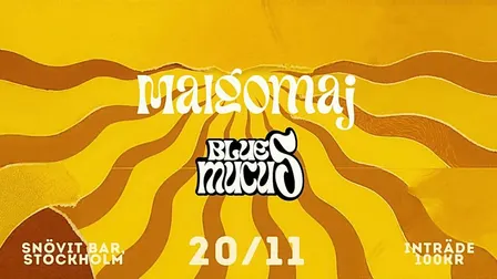 Malgomaj + Blues mucus